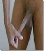 14.webp