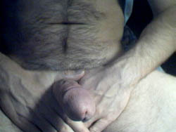 28.webp