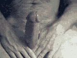 29.webp
