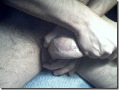 33.webp
