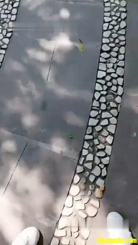 12.jpeg