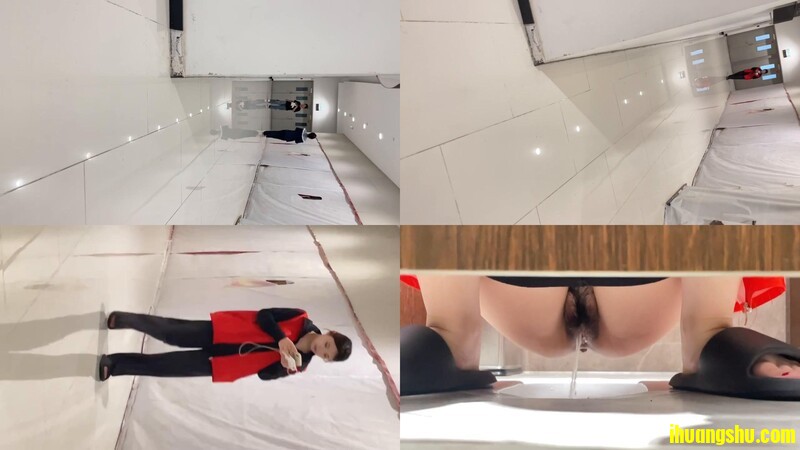 十月新大神极品收藏商场女厕全景后拍系列黑丝小美女的性感蜜桃[MP4/108MB/windfiles]