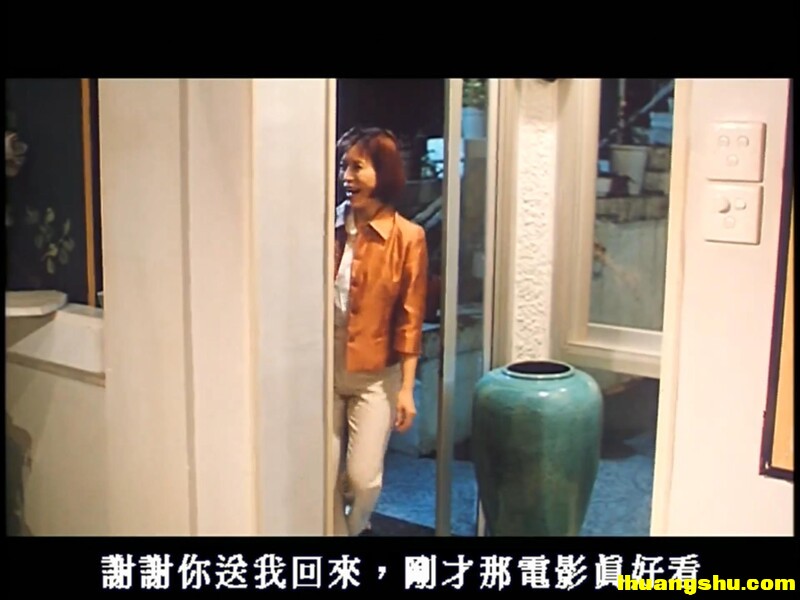 [偷情男女][1080P版DVD-MKV/2.25G][国粤双语中字][香港给力剧情]