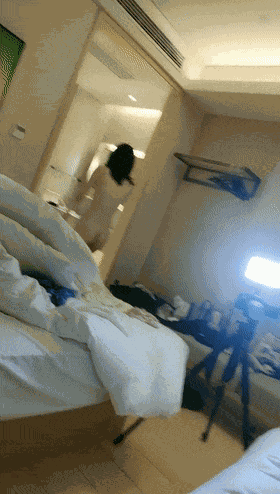 5.gif