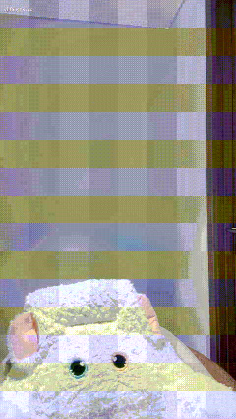 1.gif
