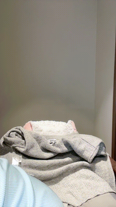 8.gif