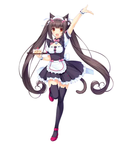 8.webp
