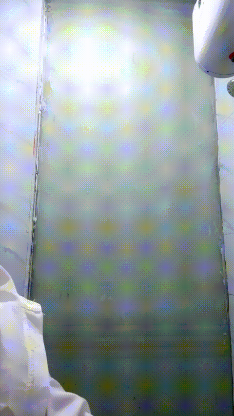 5.gif