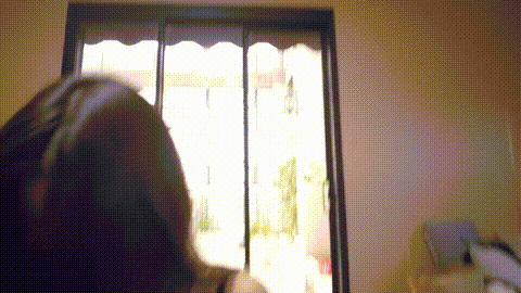 5.gif