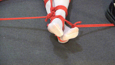 5.gif