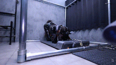 4.gif