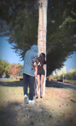 9.gif