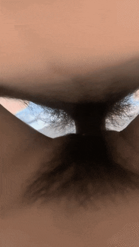4.gif