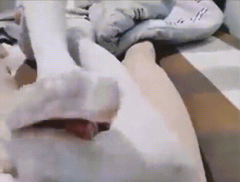 13.gif
