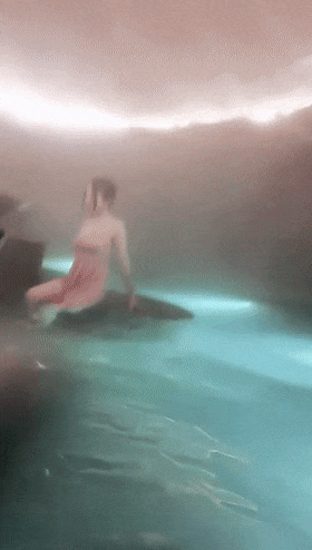 5.gif
