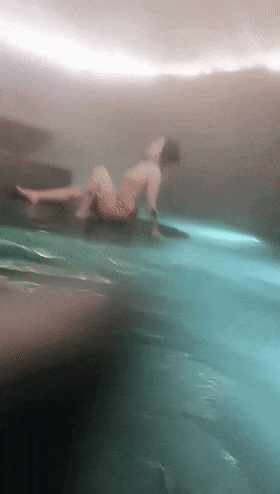 6.gif