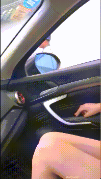 11.gif