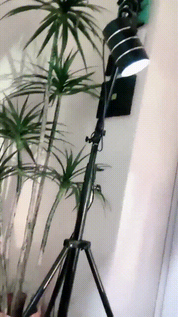 18.gif