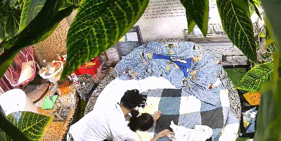 2.gif