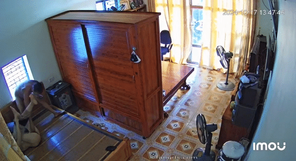 5.gif
