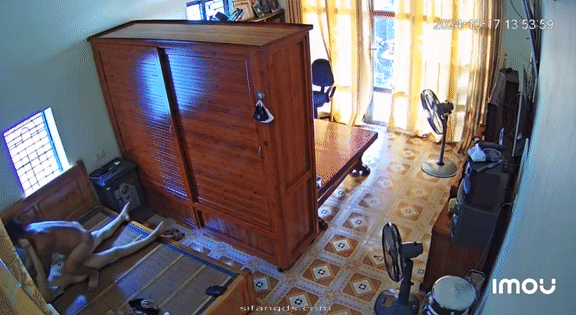 6.gif