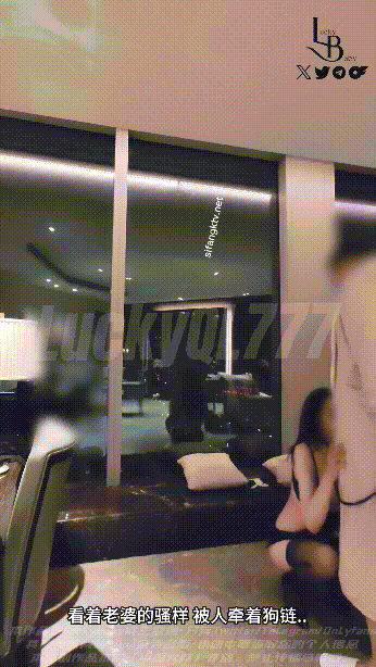 11.gif