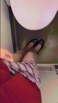 11.gif
