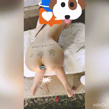 14.gif