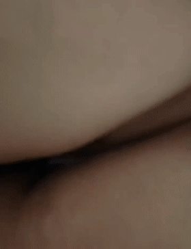 9.gif