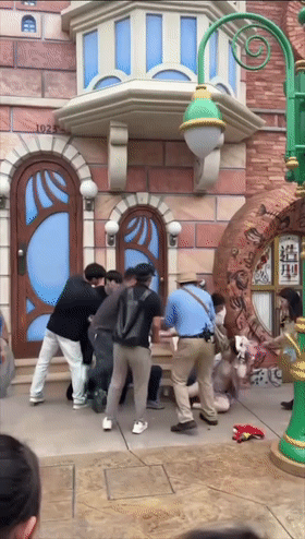 5.gif