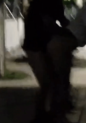 4.gif