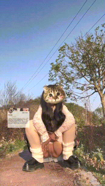 13.gif