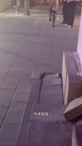 5.gif