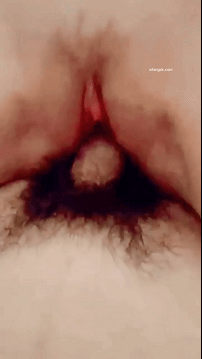 8.gif