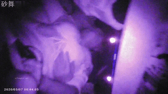 6.gif