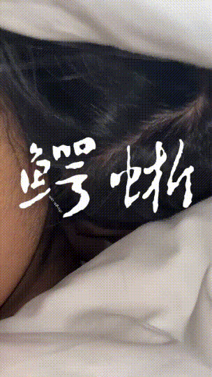 5.gif