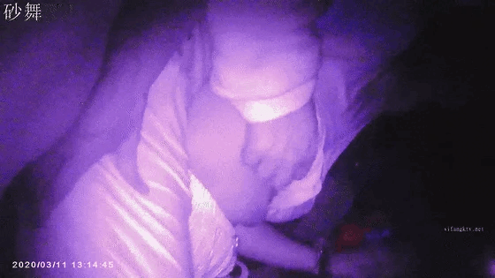 13.gif