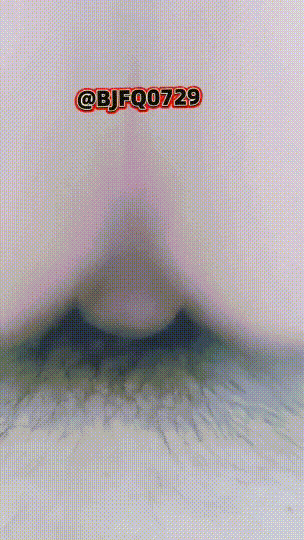 12.gif