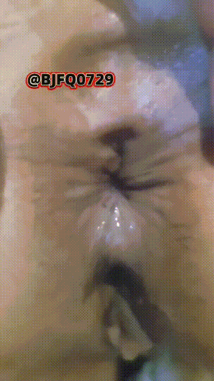 11.gif