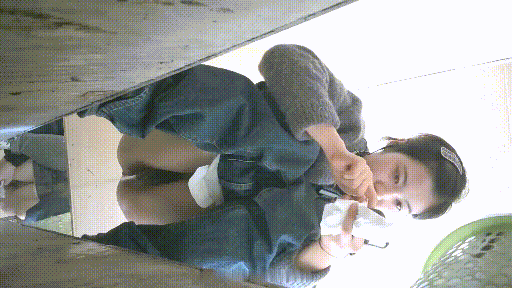 6.gif