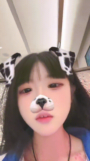 13.gif