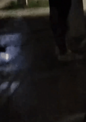 3.gif
