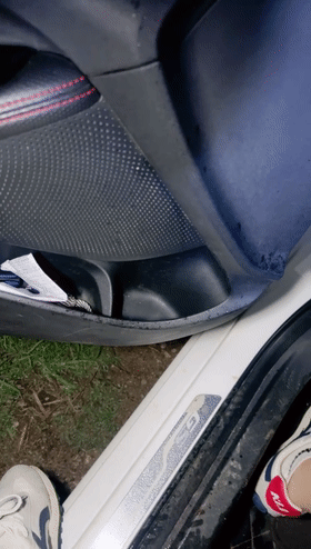 8.gif